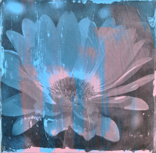 artist Pauline Molinari