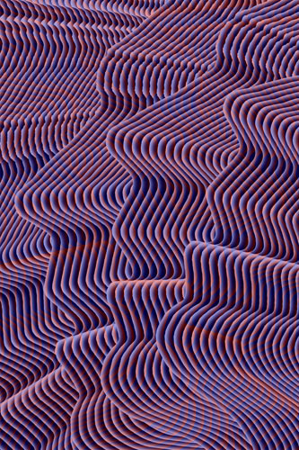 Gilbert, Faces Old and New