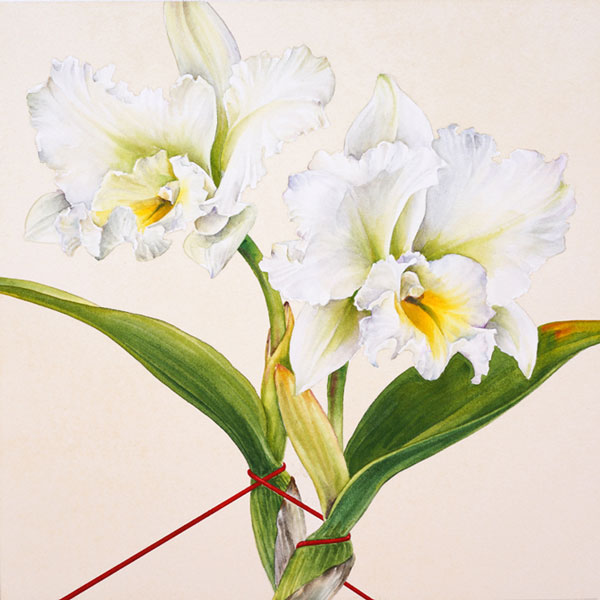artist Lawrence Yun