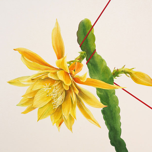 artist Lawrence Yun