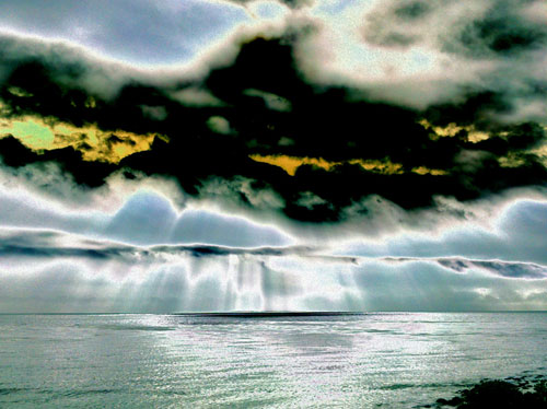 artist Maureen Haldeman