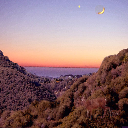 artist Alessandra DeClario