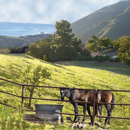 artist Alessandra DeClario