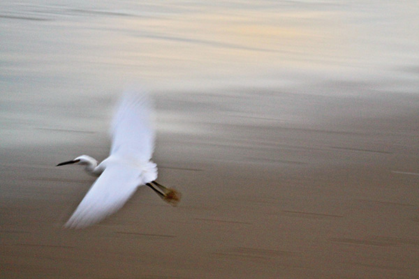 artist Maureen Haldeman