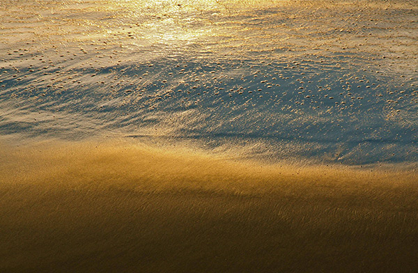 artist Maureen Haldeman