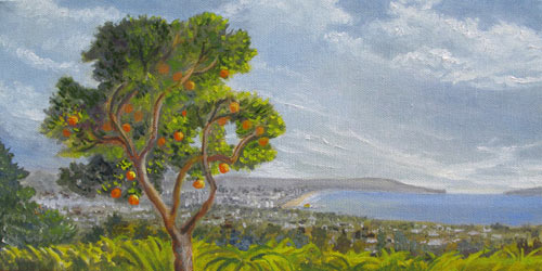 sally lamb, pools and patios