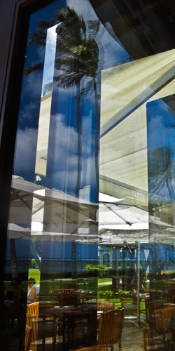 artist Carol Kleinman